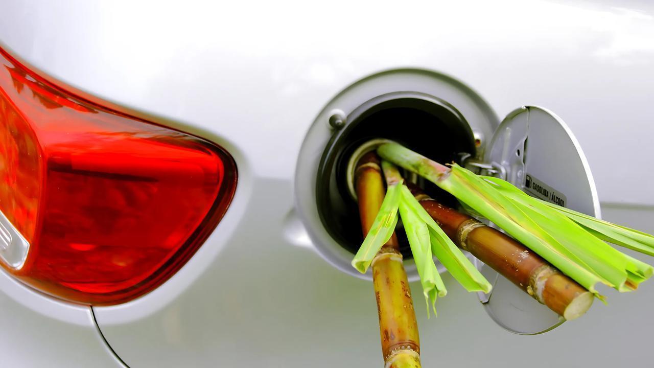 ISMA Urges Centre to Maintain Curbs on Ethanol Imports