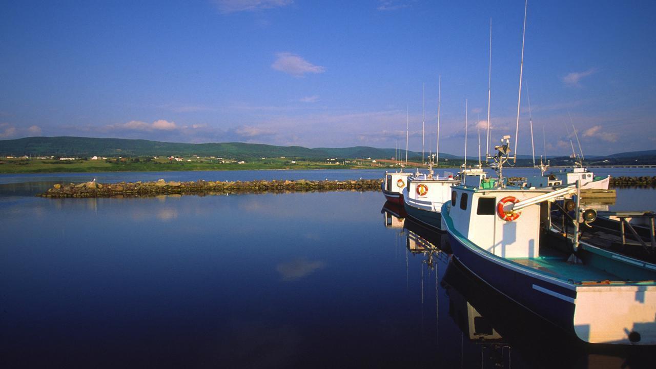 Wan Hai 503 Stranded at Sea, Awaiting Refuge