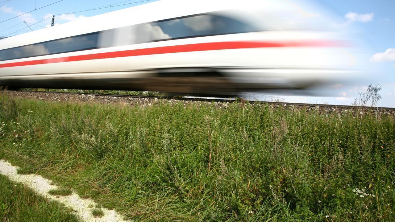 Modi Eyes Japan Deal for Quake-Safe Bullet Trains