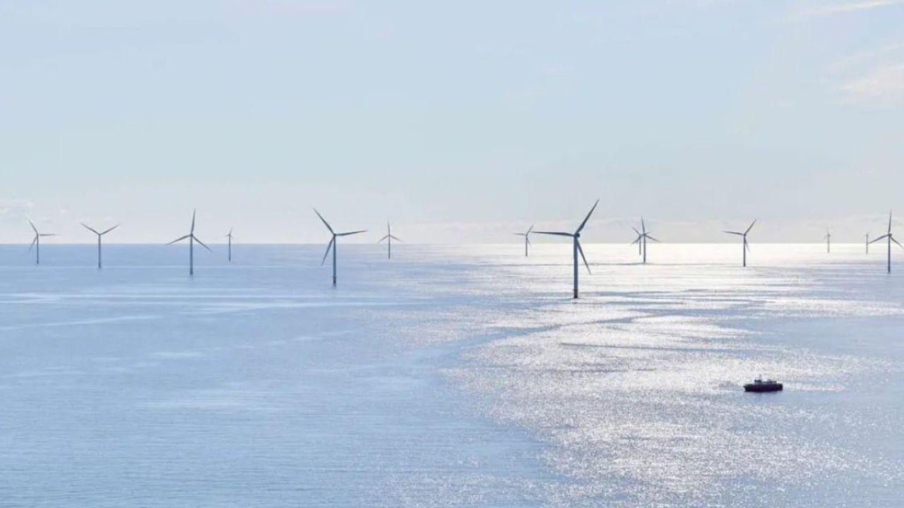 Connecticut and Rhode Island Sue Trump to Save Offshore Wind Farm
