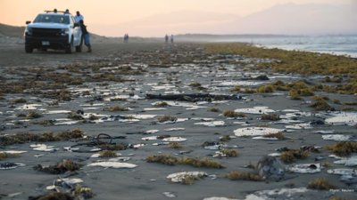 Oil Spill in Mexico’s Veracruz State Disrupts Fishing and Tourism