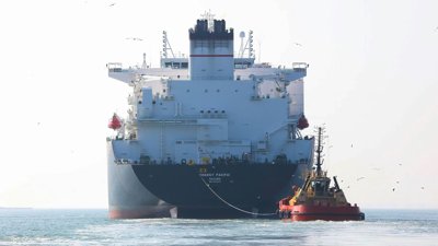 West Asia Conflict Halts Hyundai Vehicle Shipments to Gulf