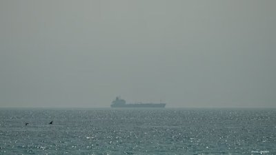 Oil Prices Steady as US and Iran A…