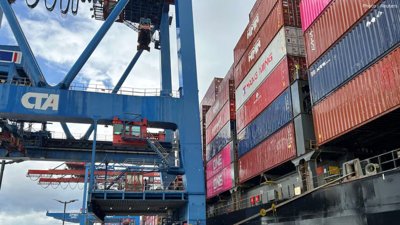 EU-US Trade Hits Record €875 Billion Despite Tariff Tensions, German Study Reveals